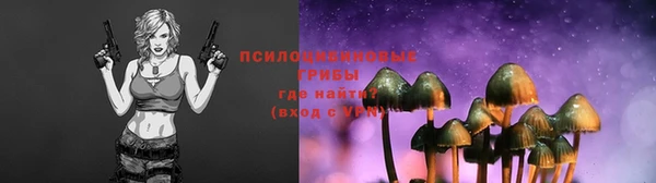Альфа ПВП Кодинск